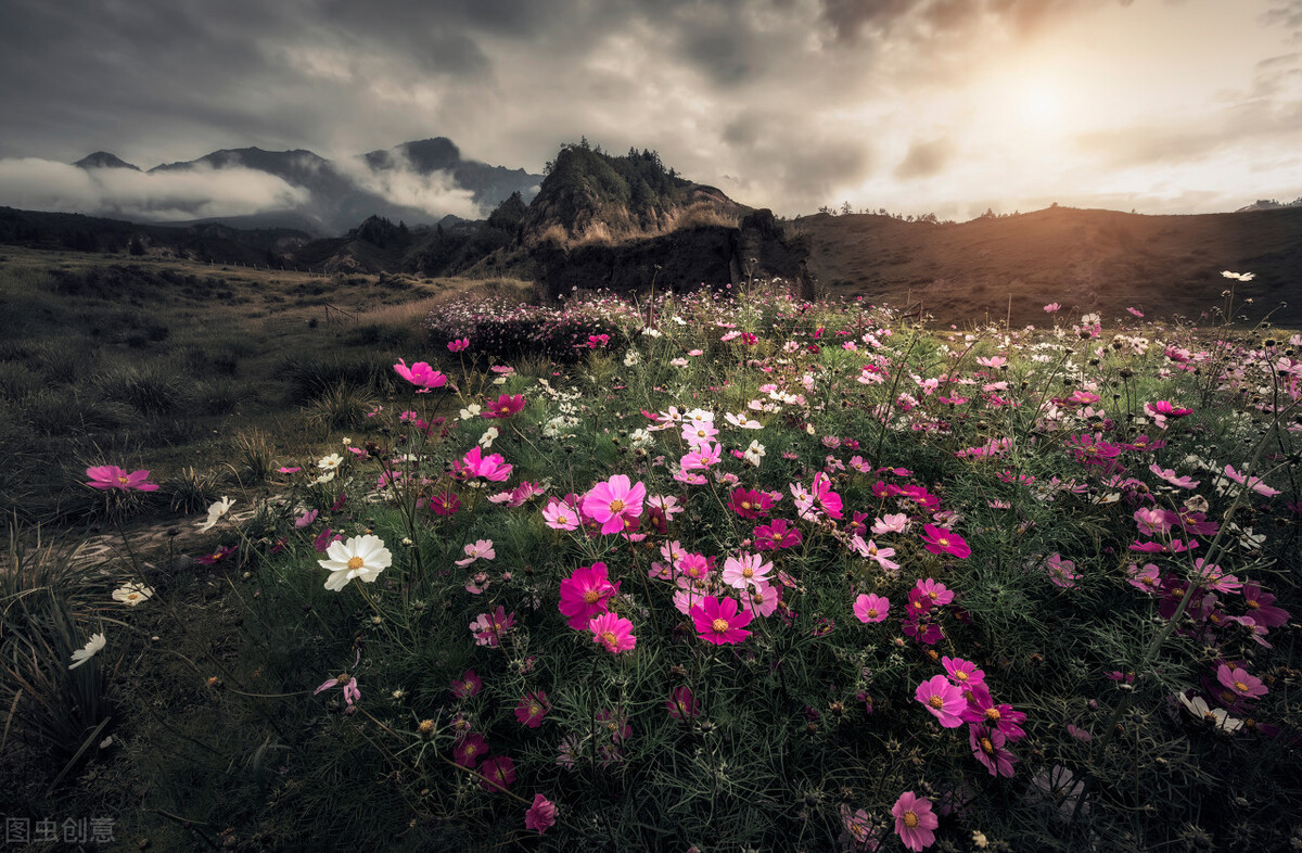 大龄剩女为什么不愿意嫁剩男,大龄剩女为什么不愿嫁剩男