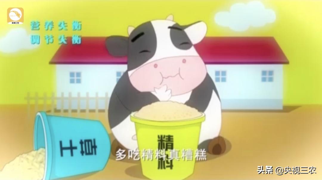 奶牛不孕症最佳治疗方法,奶牛受胎率低什么原因