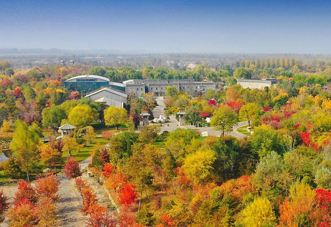 秋天银川旅游线路推荐,银川的秋天