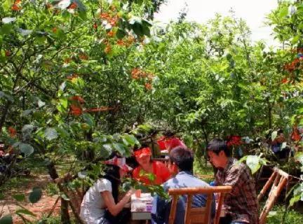 成都周边田园旅游攻略,成都冬季最理想的旅游线路