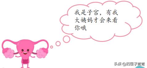 月经一直没完又多了,月经没完没了的来