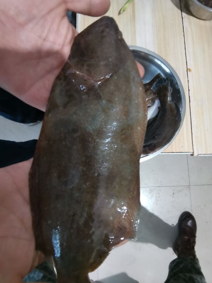 深海偏口鱼的做法,偏口鱼的处理方法