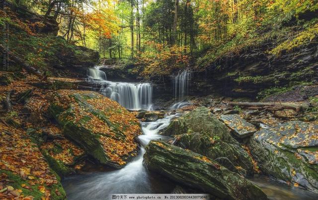 七言绝句春花二十首,春花平水韵七绝诗