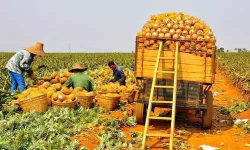 五一节国外旅游推荐地方,五一假期适合去哪里旅游国外