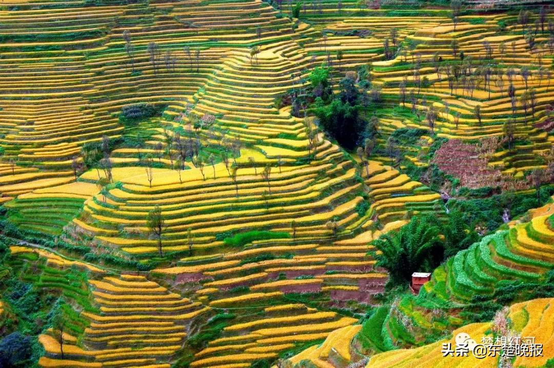 元阳梯田脱贫,红河哈尼族彝族自治州扶贫