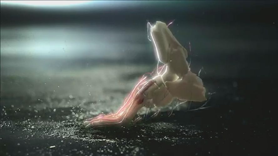 自然律动丨让跑步足够强大