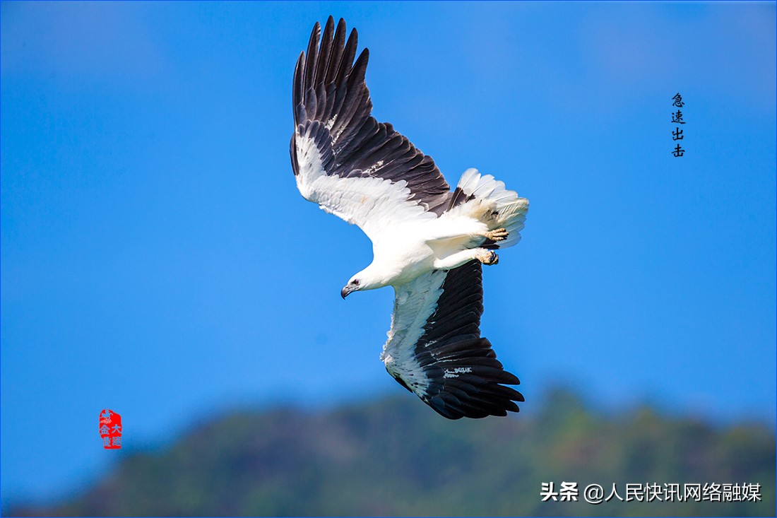 白衣天使大爱无疆的精神,白衣天使大爱无边完整版