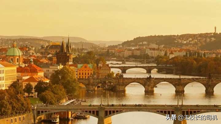 实用（白嫖）网站推荐，不可错过的网站，各个身怀本领