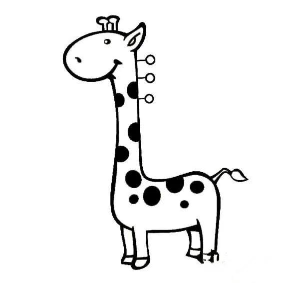 关于动物的冷知识大全素材库,关于动物冷知识大全书