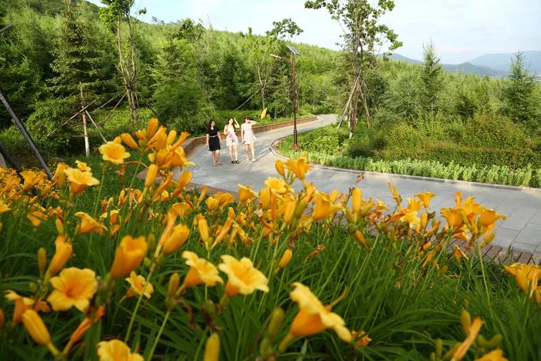 延边端午旅游推荐,浓情端午粽享民俗