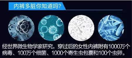 干湿分离旅行包100元左右,干湿分离旅行包