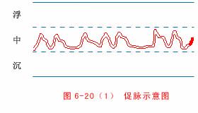 中医把脉入门必背口诀翻译,把脉入门必背口诀粤语版