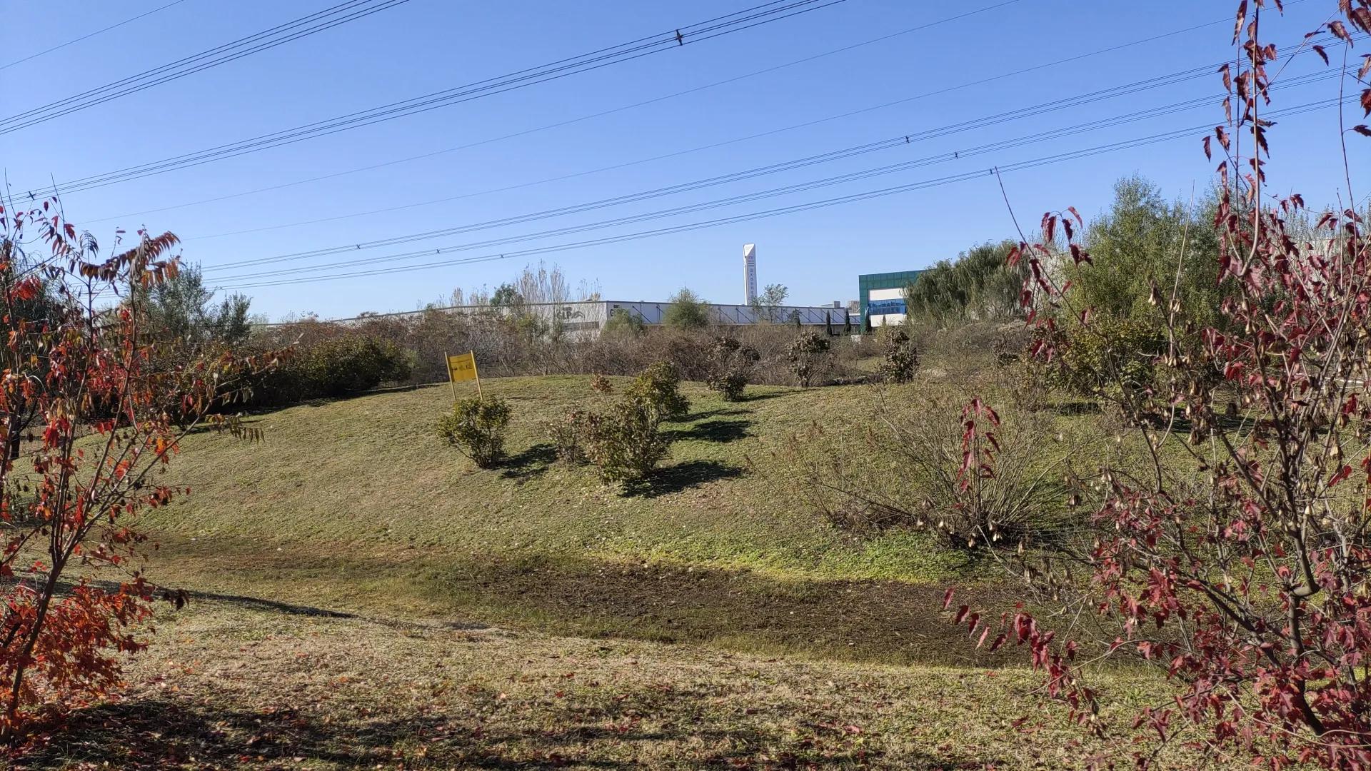 沈阳远大湿地公园,沈阳七星湿地公园