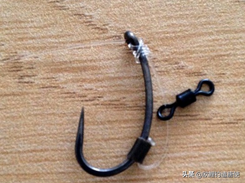 话说欧鲤钓最新消息,话说欧鲤钓鱼完整版