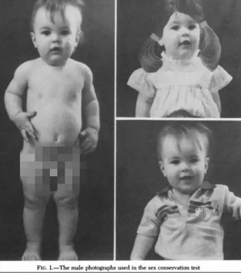 最美变性女星,最美变性女神泰国