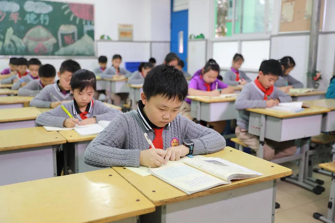 金水区文化绿城小学2018,五项管理中小学校具体如何落实