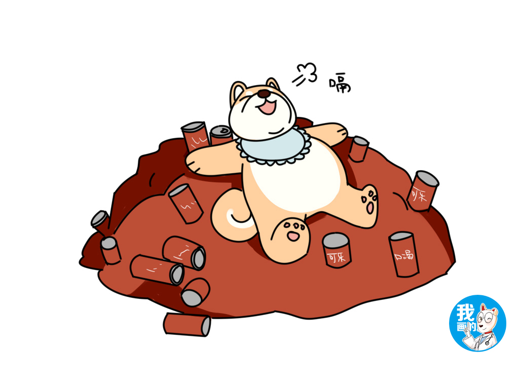 狗狗可以吃什么甜食,狗狗最爱吃的10种食物