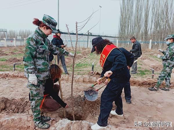 新疆公路防护绿色护栏网,公路养护部门春季养护新闻