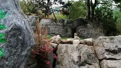 北京适合小孩的温泉度假村排名,北京冬季适合玩的温泉项目有哪些