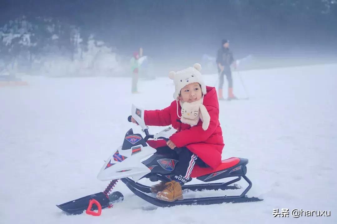 南方也能下雪吗,南方也能见到雪