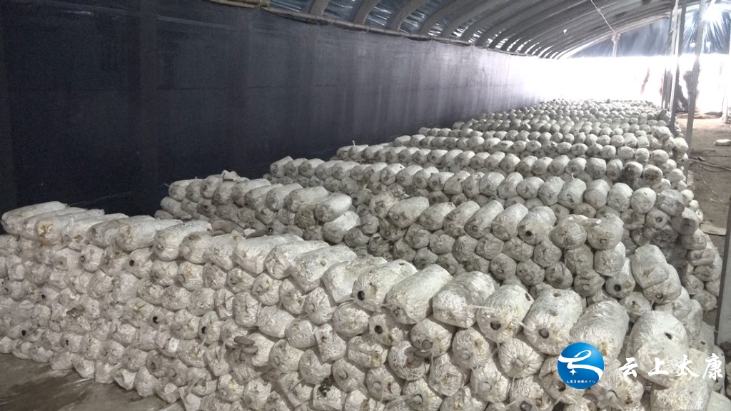 决战决胜脱贫攻坚产业扶贫,脱贫攻坚致富之路