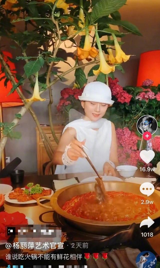 静物人生什么意思呢,静物人