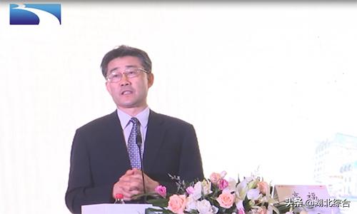 慢性乙肝临床治愈和彻底治愈,慢性乙肝防治指南之治疗篇