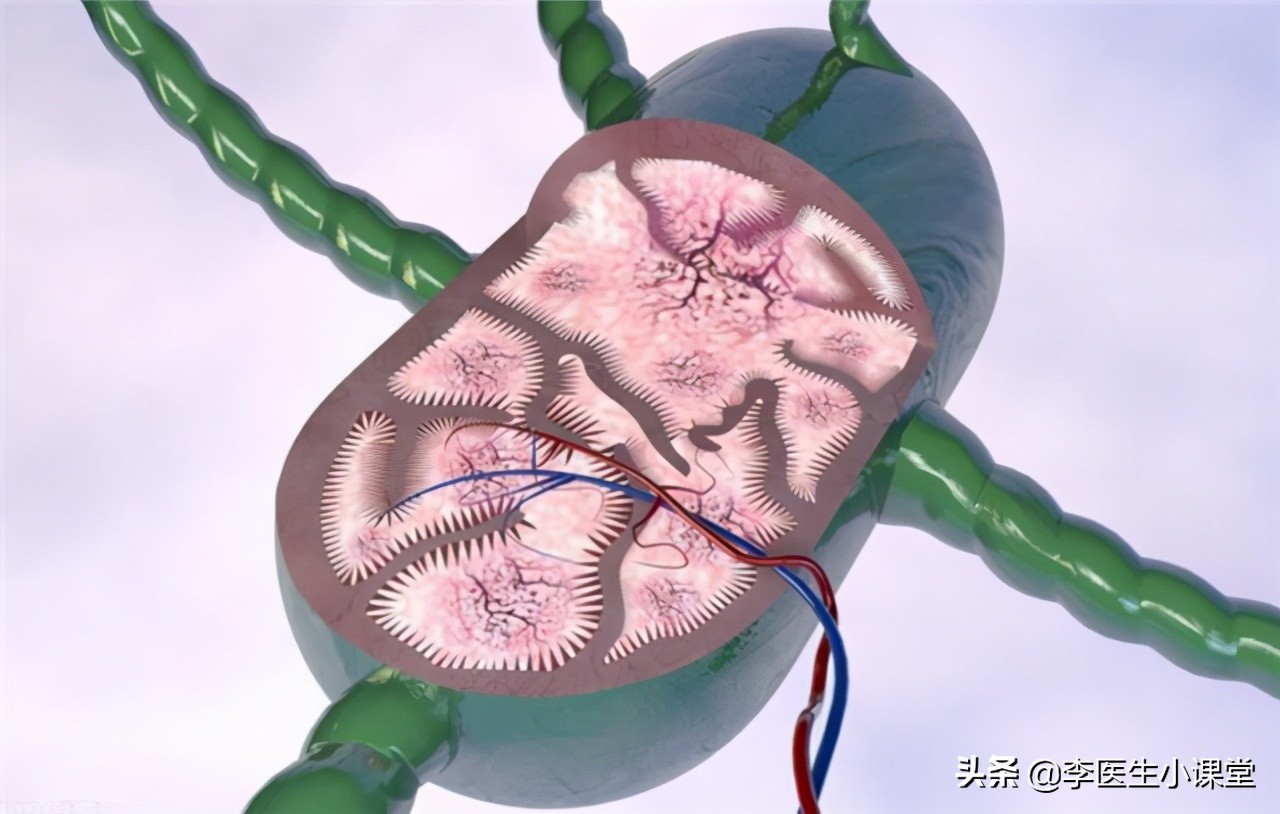 感染引起的淋巴结肿大怎么办,感染引起的恶性肿瘤