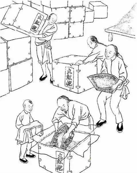 这份泡茶笔记值得收藏,武夷岩茶基本知识有哪些