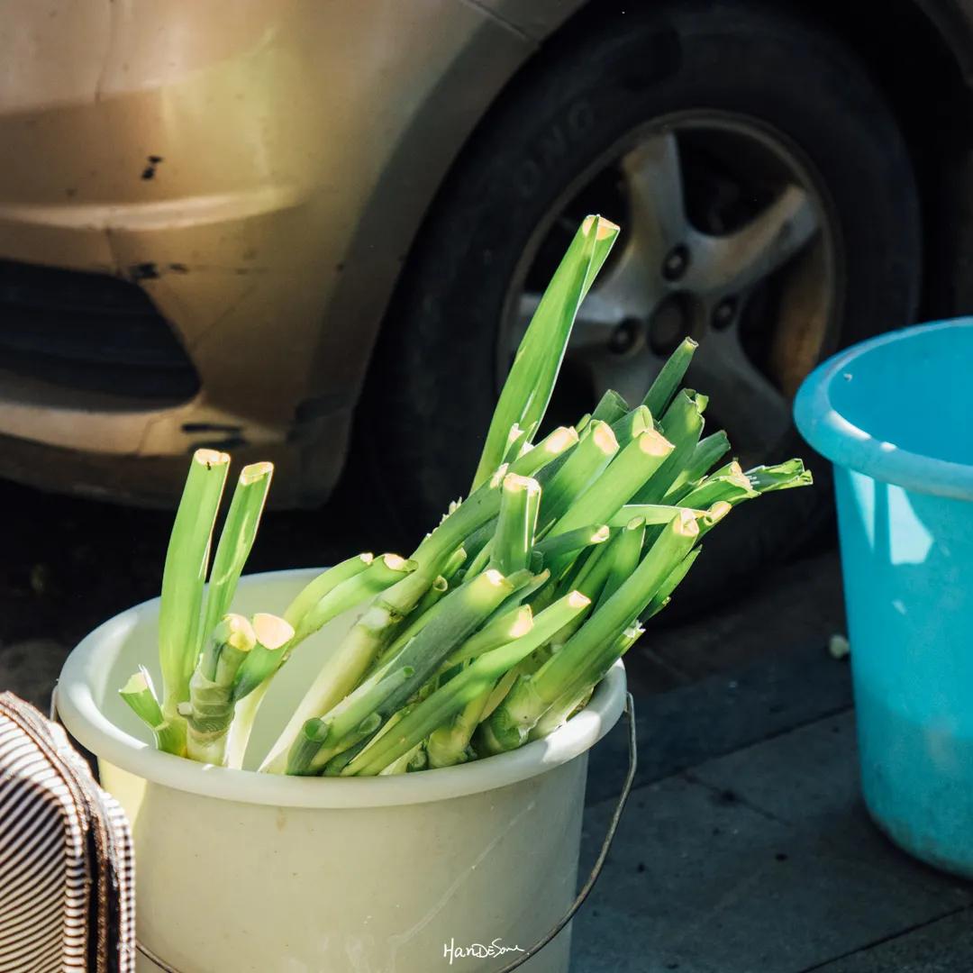 你多久没走过墨尔本,你多久没去过老街