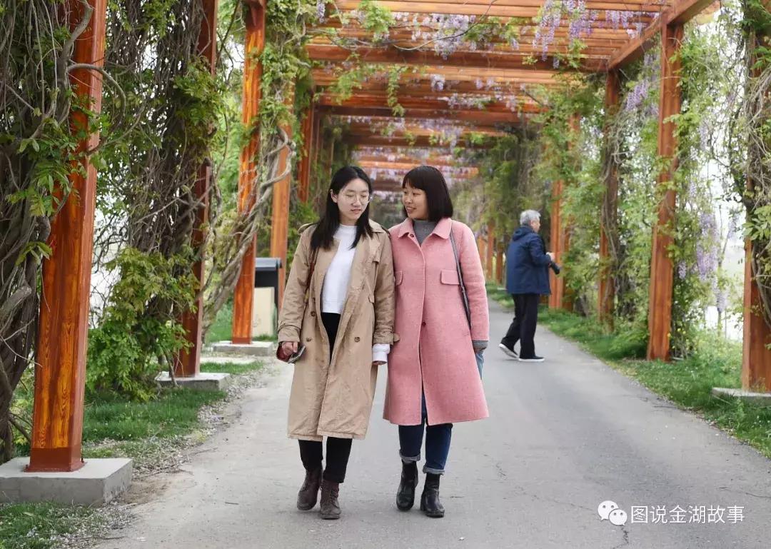 金湖荷花荡灯光秀,金湖荷花池塘美景