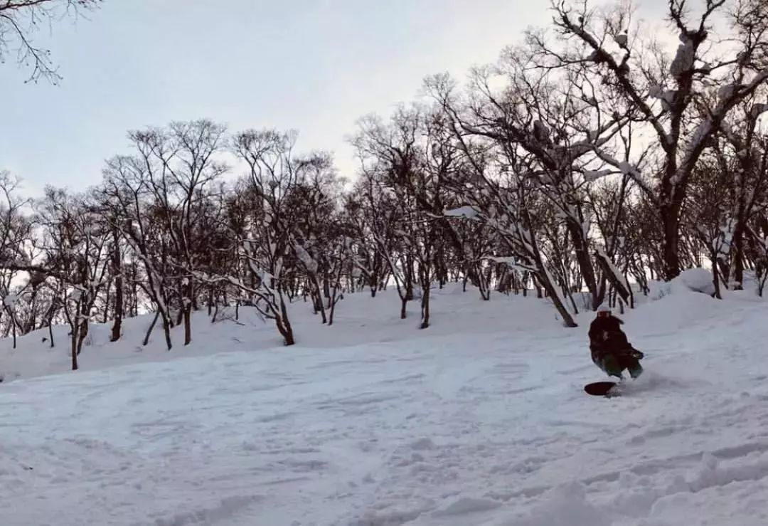 北海道滑雪自由行攻略,北海道冰雪之旅视频