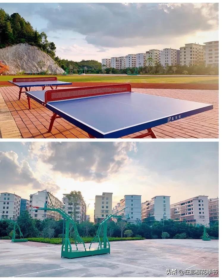 赣县稀金二小教学质量,赣县区稀金第二小学学费