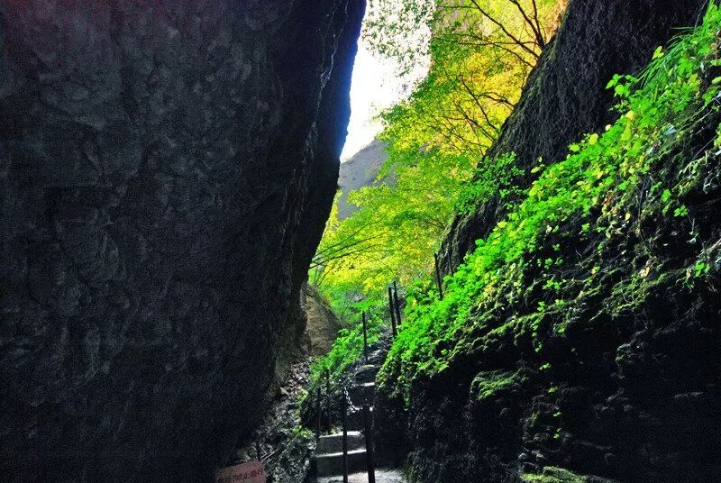 北京避暑,北京值得一去的皇家园林