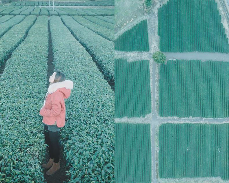 济州岛四天三夜旅行攻略,3天2夜济州岛旅行