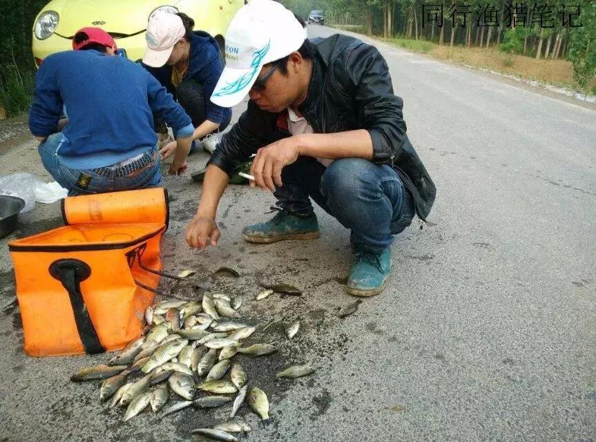 钓鱼记录2019,最新的钓鱼日记