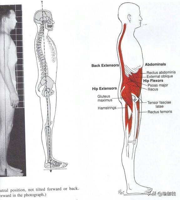 瑜伽山式的九个姿势,瑜伽山式姿势如何做