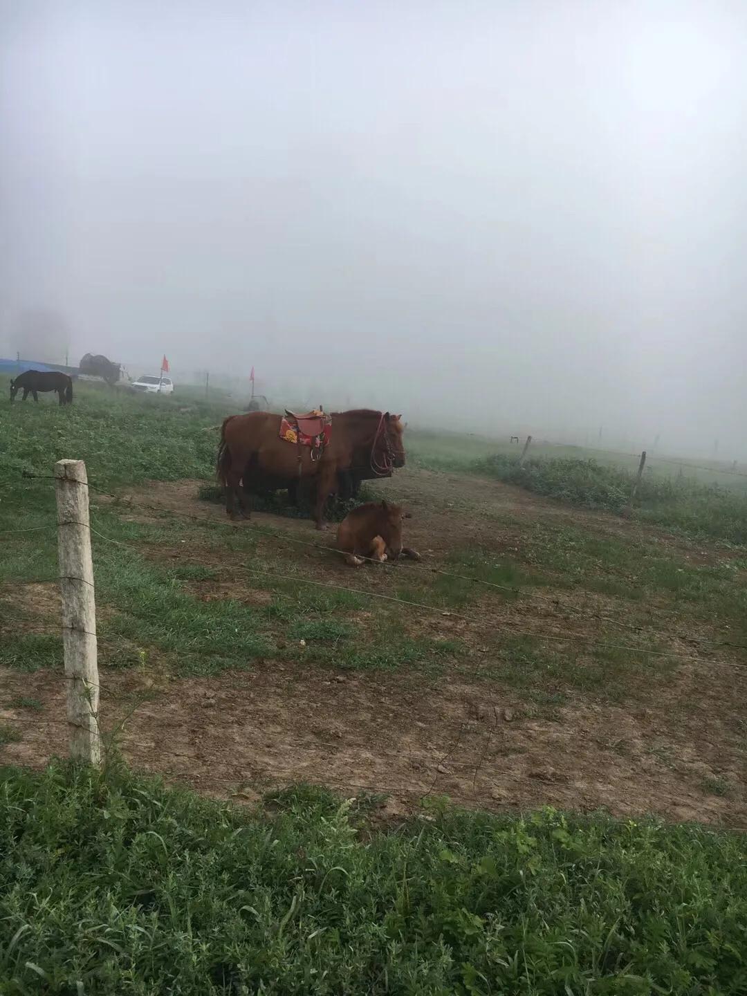 张北天路乌兰布统攻略,天津张北草原天路自驾游攻略
