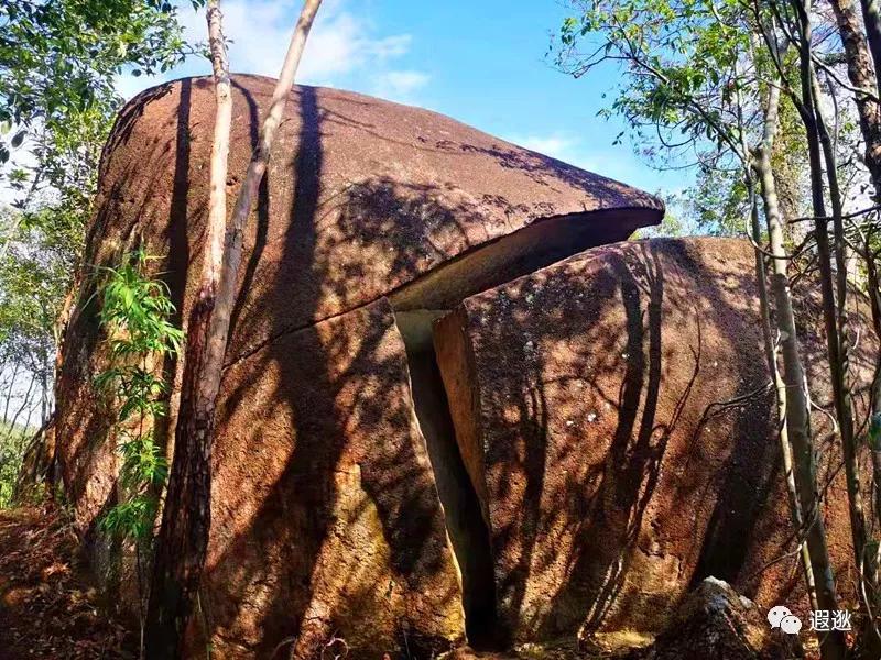 温州居然有这么美的小众景点,温州青龙山风景区在哪里
