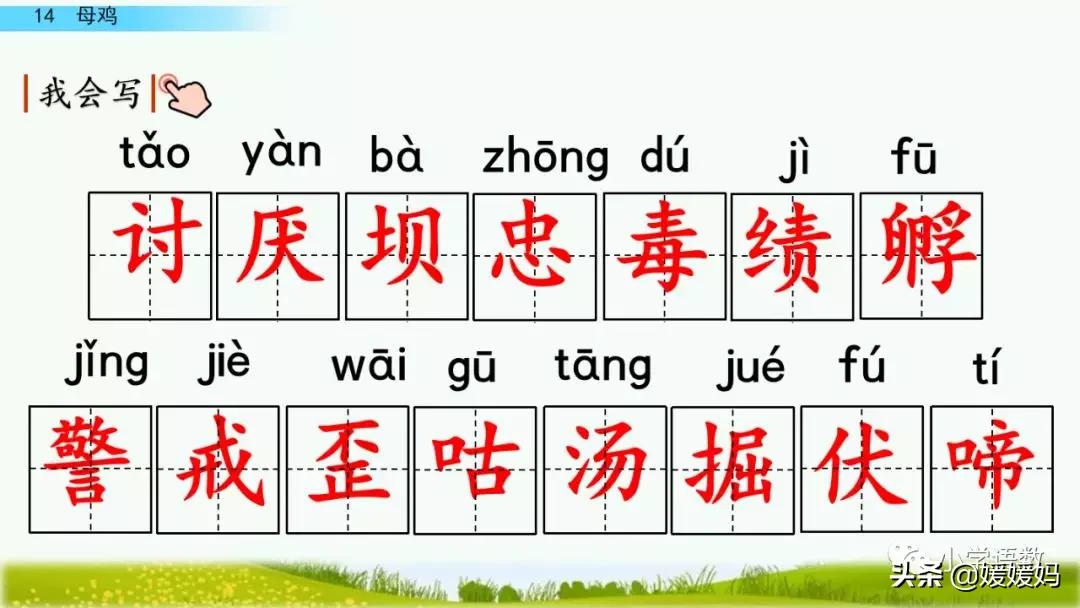 四年级下册第13课小练笔仿写母鸡,四年级下册14课母鸡的预习完整版