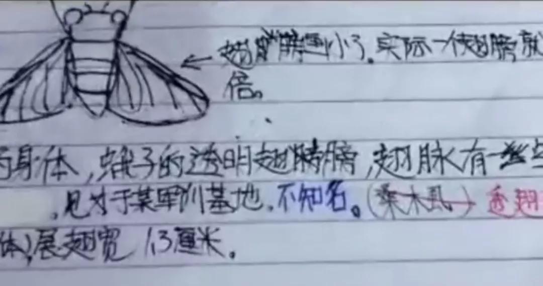 破1亿赞博主,点赞破亿的博主