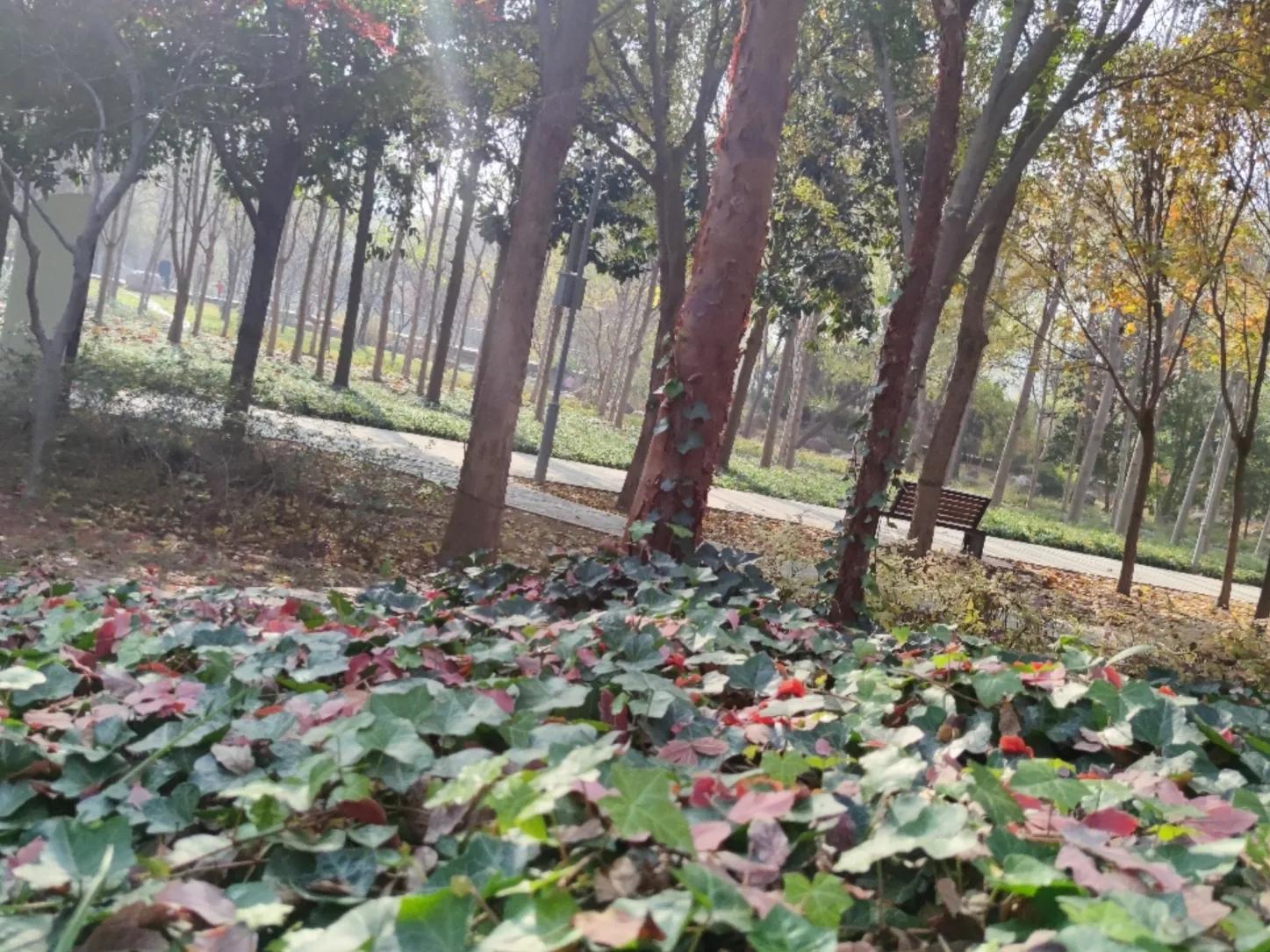 宿舍里太吵怎么解决,宿舍太吵怎么消除声音