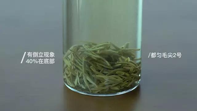 会倒立的才是好绿茶？我们给你做了这个实验
