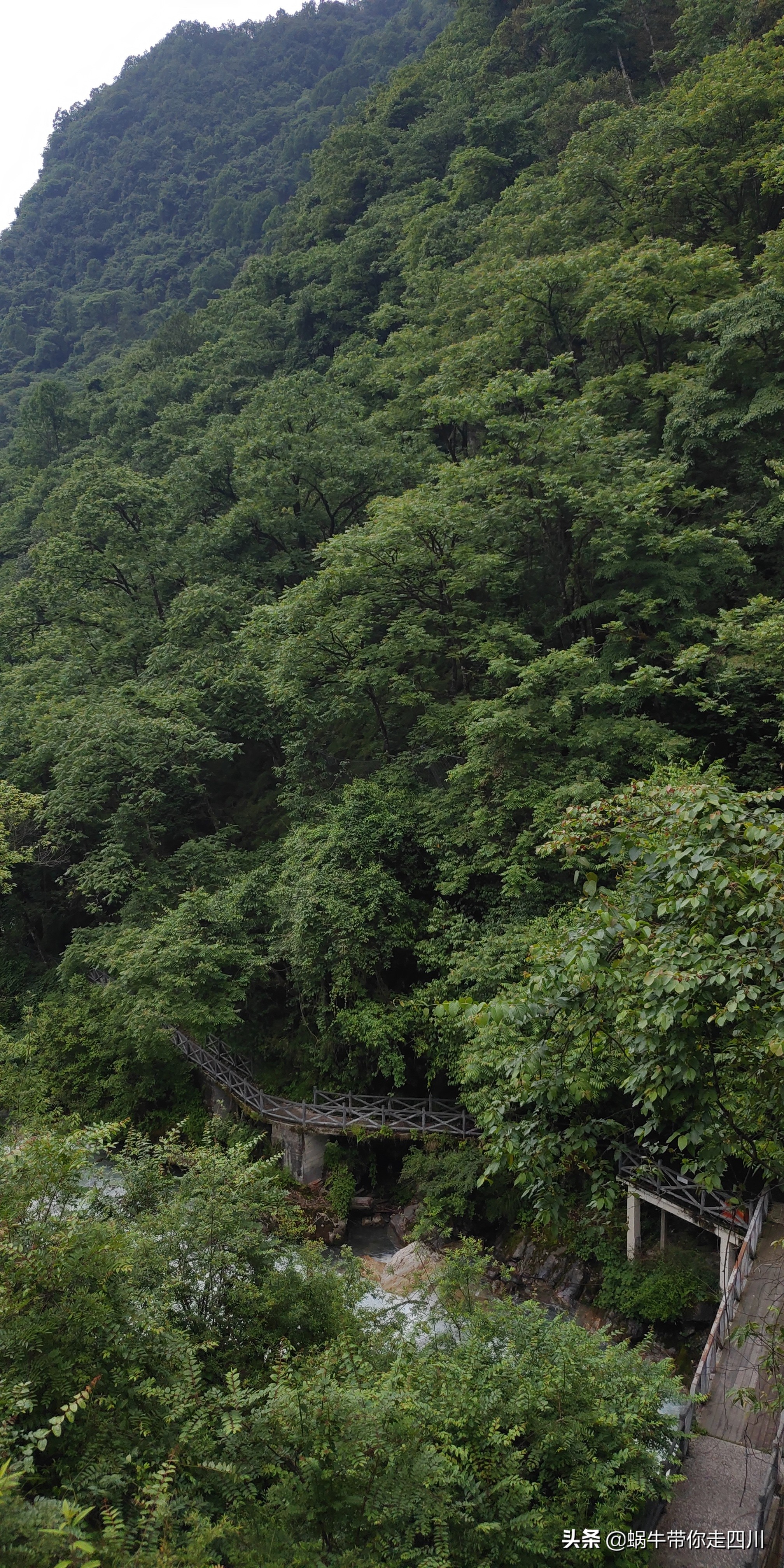 成都到西藏旅游一家三口,成都出发三天两夜旅行套票