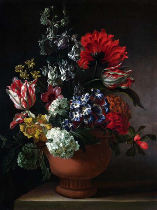 精美花图片大全,好看鲜花图片手绘