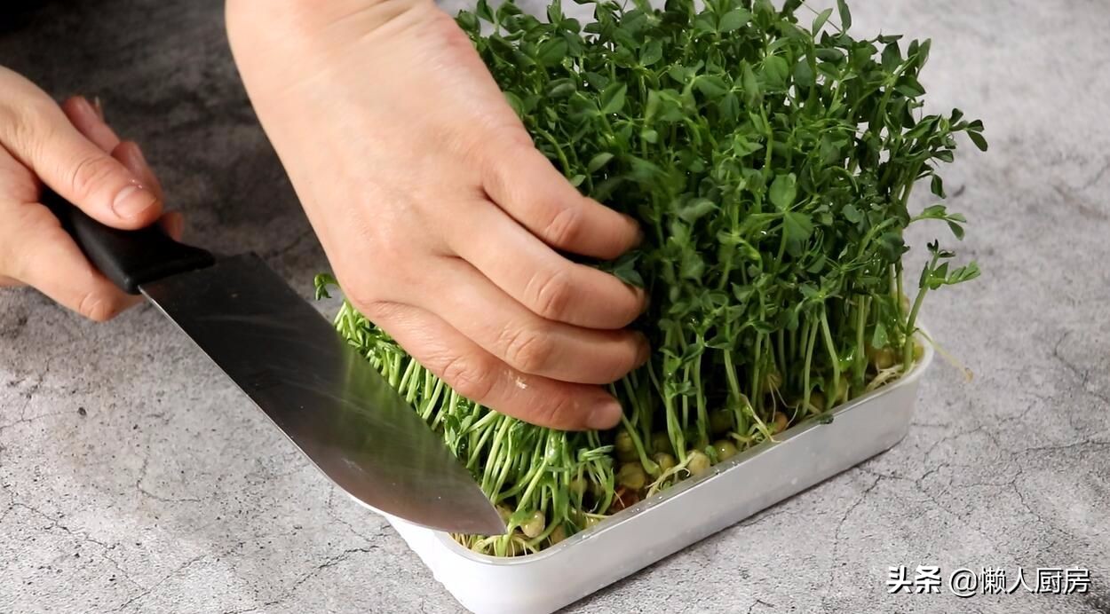 清炒豌豆苗最好吃的做法,豌豆苗做法简单又好吃