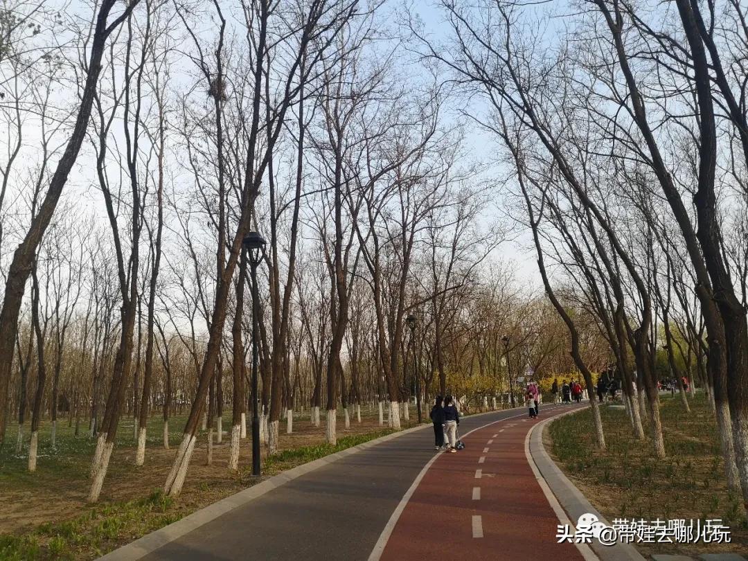 带娃周边3-4天自由行攻略,又到周末要带娃