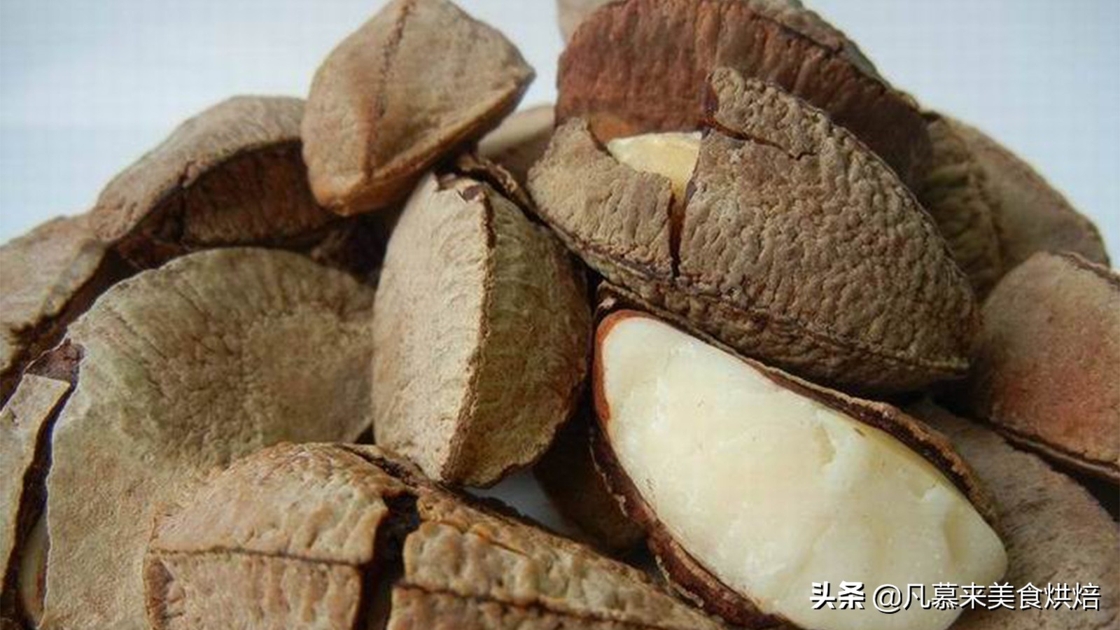 坚果中最有营养的是什么坚果,13种常见的坚果哪种坚果最有营养