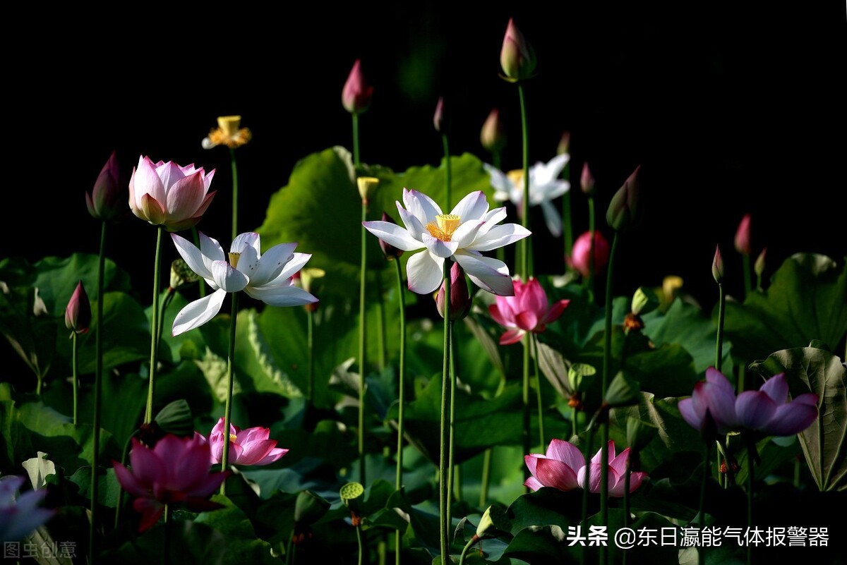 可燃气体探测报警系统现场检测,可燃气体探测报警系统使用说明书