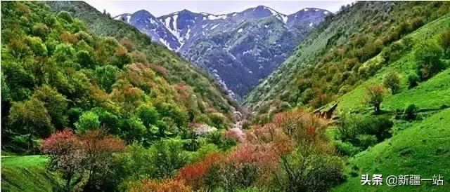 疆内哪里好玩风景好夏天,入疆必看景点大全